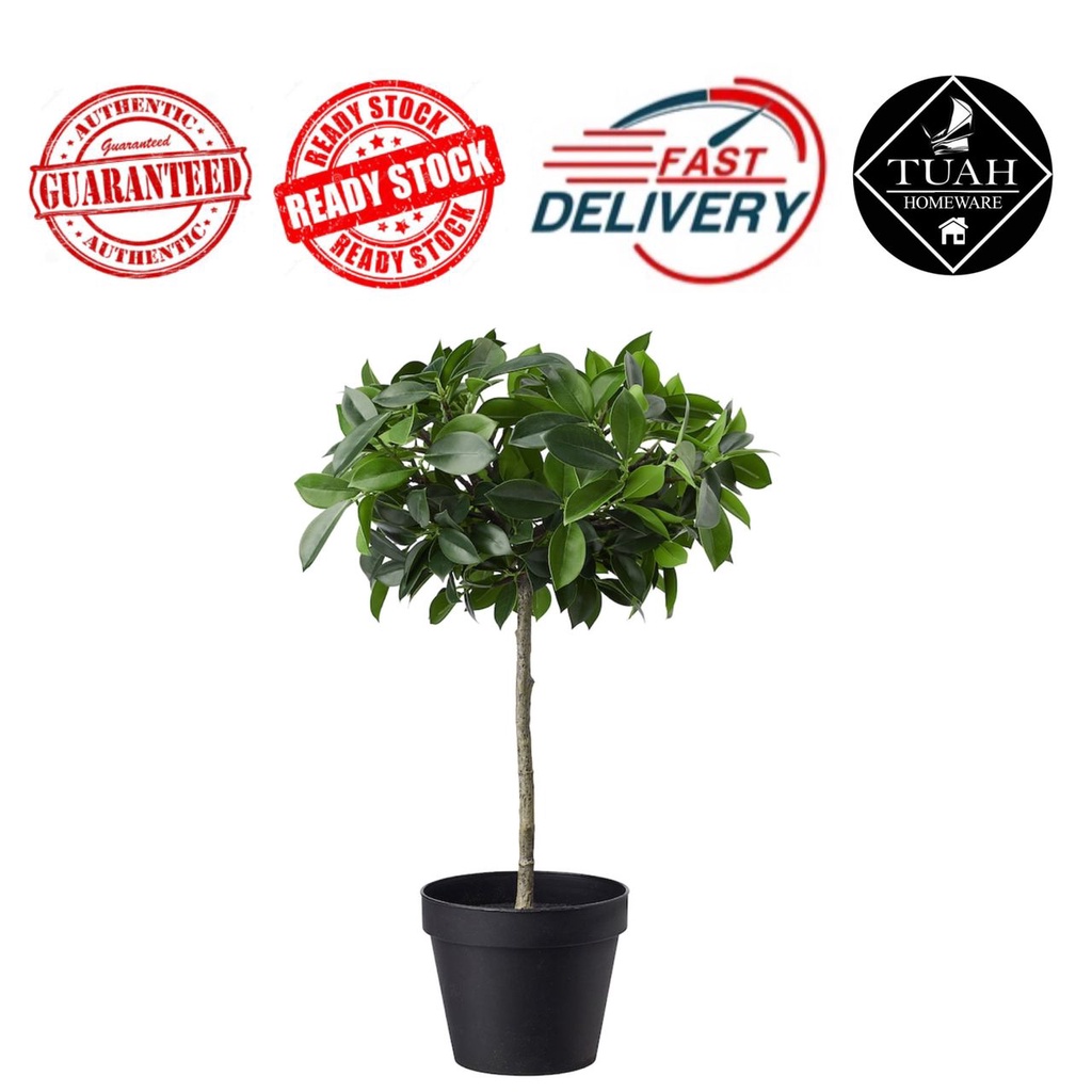 IKEA FEJKA Artificial Potted Plant Weeping Fig (44cm) Shopee Malaysia