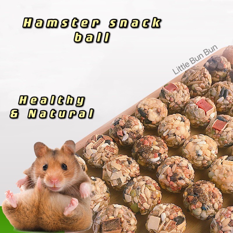 Chicken best sale hamster ball