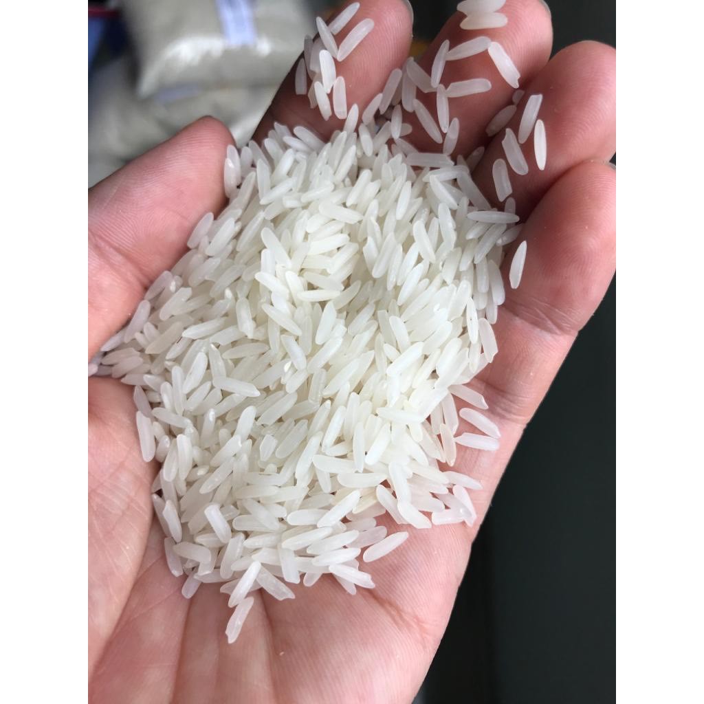 100% ORIGINAL Cambodian AAA Fragrant Rice New Crop (loose) | Shopee ...