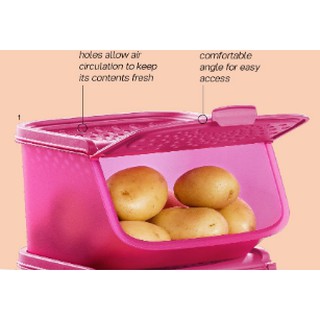 Tupperware potato, onion, garlic container mini access mate 2.3L capacity -  1pc