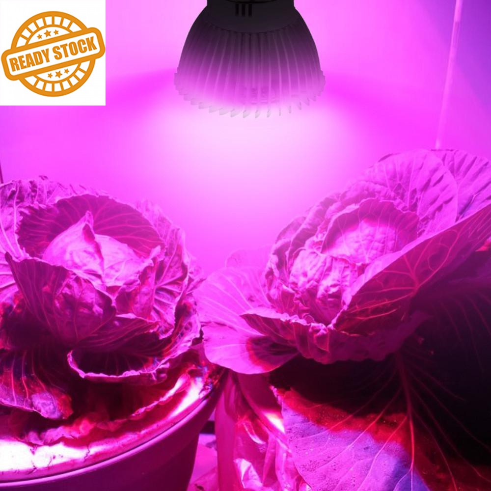 Full Spectrum LED Indoor Red Blue Plant Grow Light (READY STOCK ...