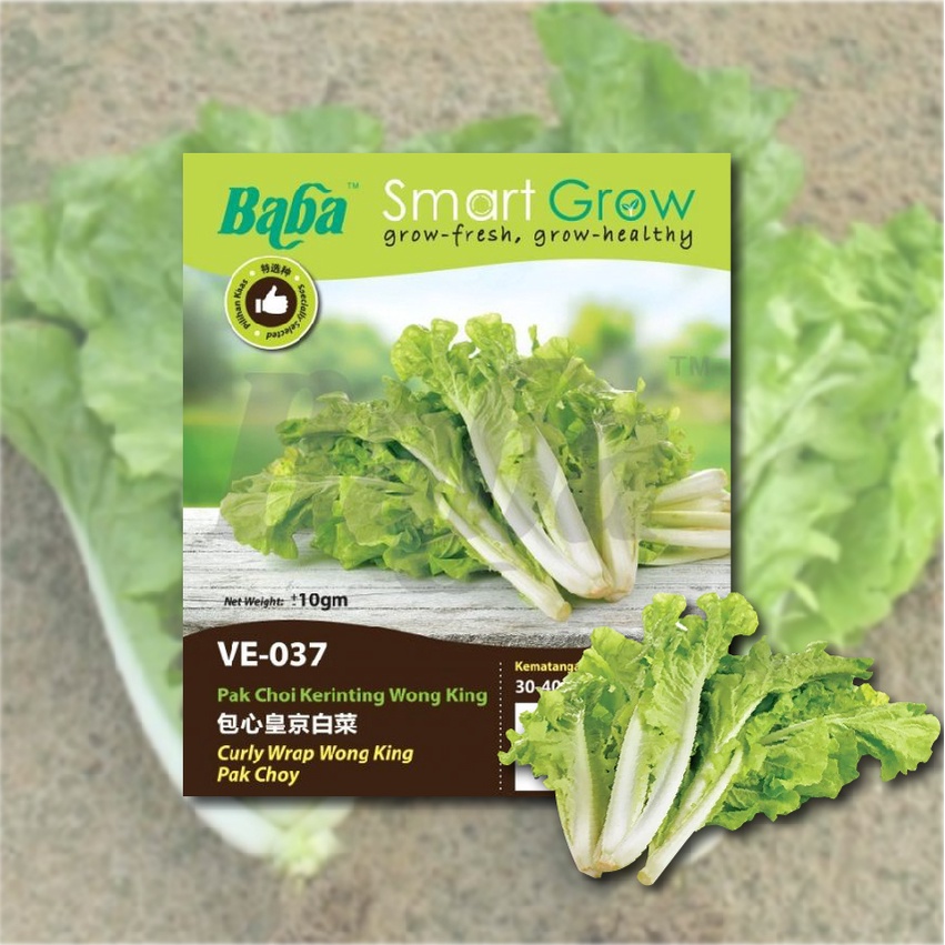 [Expiring] Baba Seed Vegetable Seed Biji Benih Sayuran Pelbagai Biji ...