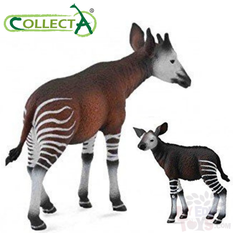 CollectA Okapi Vitello – Figura Animale In Miniatura – Realistica E Collezionabile