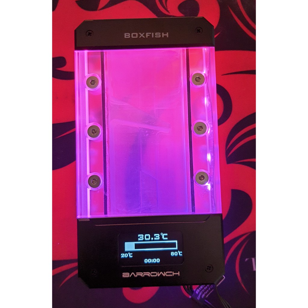 Liquidation of Tank Barrowch boxfish | Shopee Malaysia