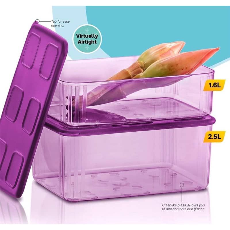 Tupperware Fresh n' Clear Large Set 2pcs | Shopee Malaysia