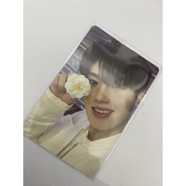 Pc Kim Doyoung Treasure Photocards TSS Chapter 1 Doyong Flower Doyoung