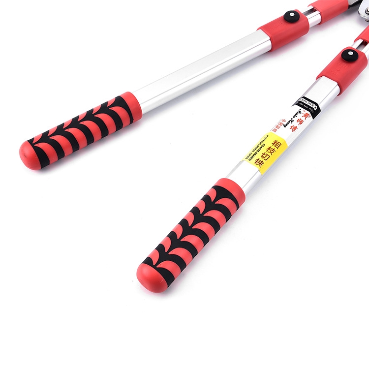 Hot In KL| Telescopic Garden Scissors Garden Pruner Fruit Tree Branch ...