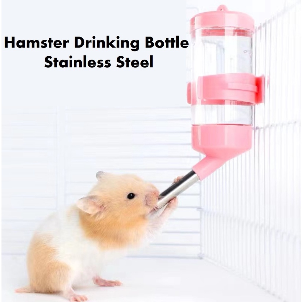 Hamster drinking hot sale bottle