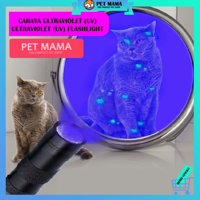 PETMAMA Premium Wood's Lamp Cat Moss Lamp Pet Fungus Detection ...