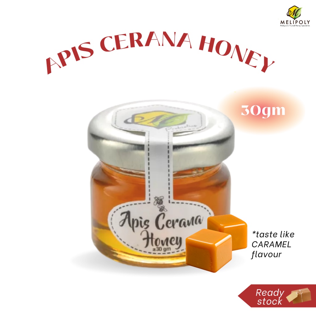 MELIPOLY 30gm Apis Cerana Pure Honey Madu Hutan 100% Original Madu Asli ...