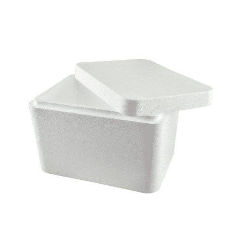 Styrofoam box | Shopee Malaysia