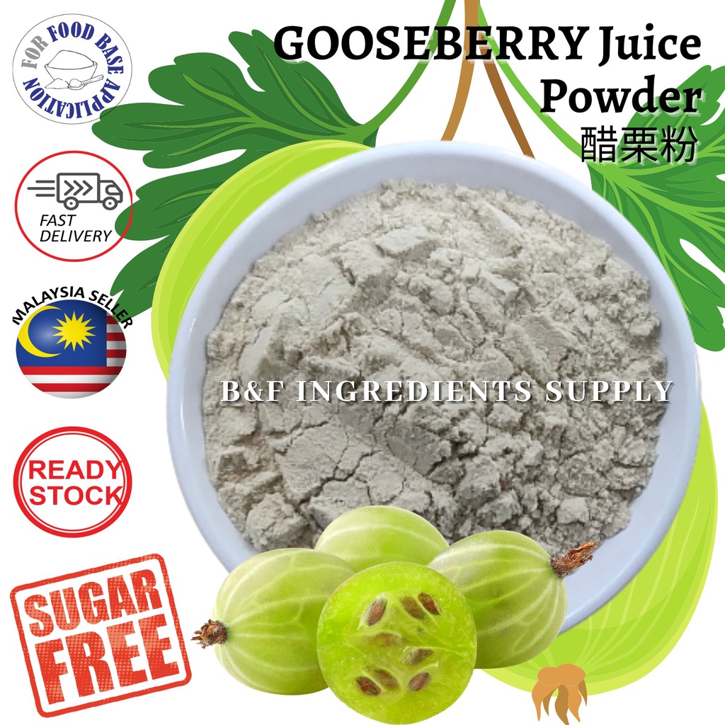 Gooseberry Juice Powder Amla Juice Powder 醋栗粉 安姆拉粉 Fruit Powder Indian Gooseberry