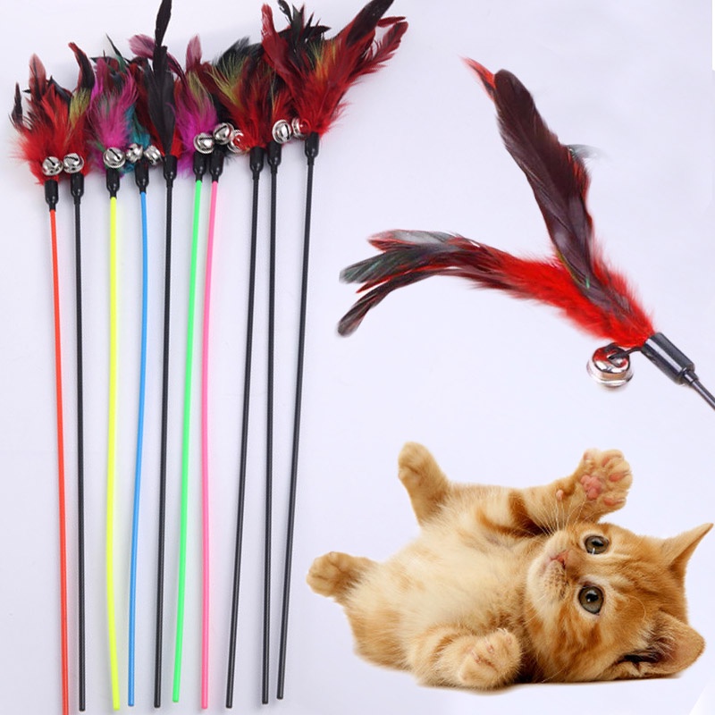 1PCS Funny Pet Interactive Toy Make A Cat Stick Like Birds Feather ...