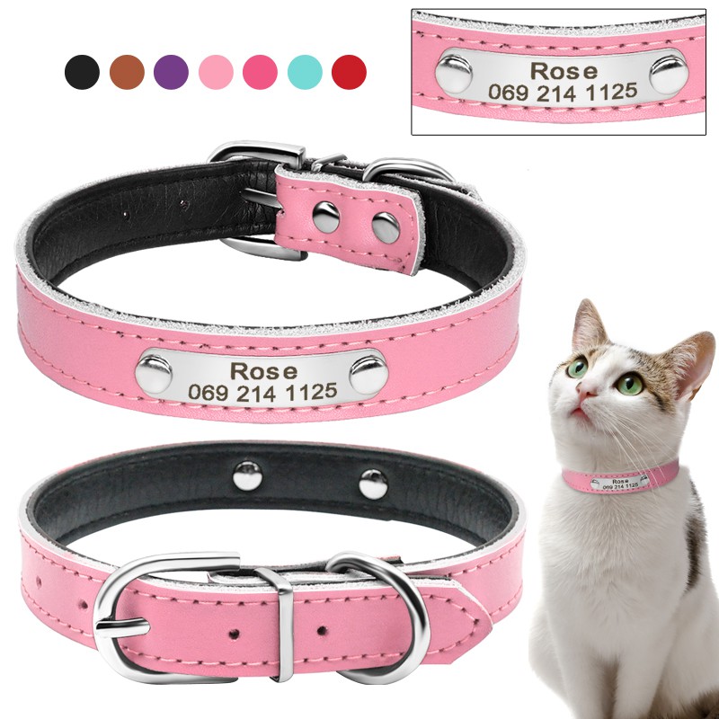 Custom on sale cat collars