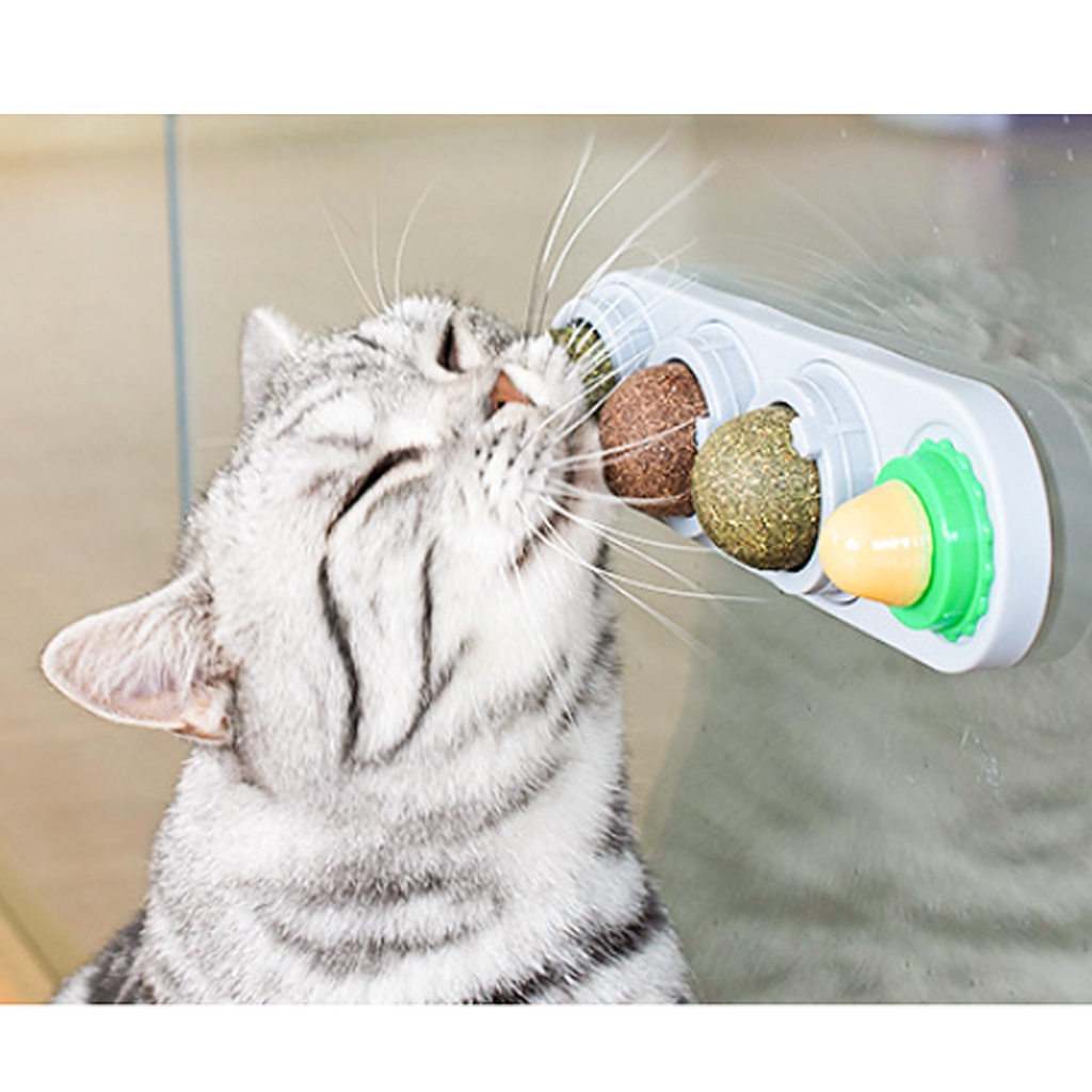 Catnip Toy Edible Balls Rotatable Catnip Ball Cat Toy 41Catnip Edible