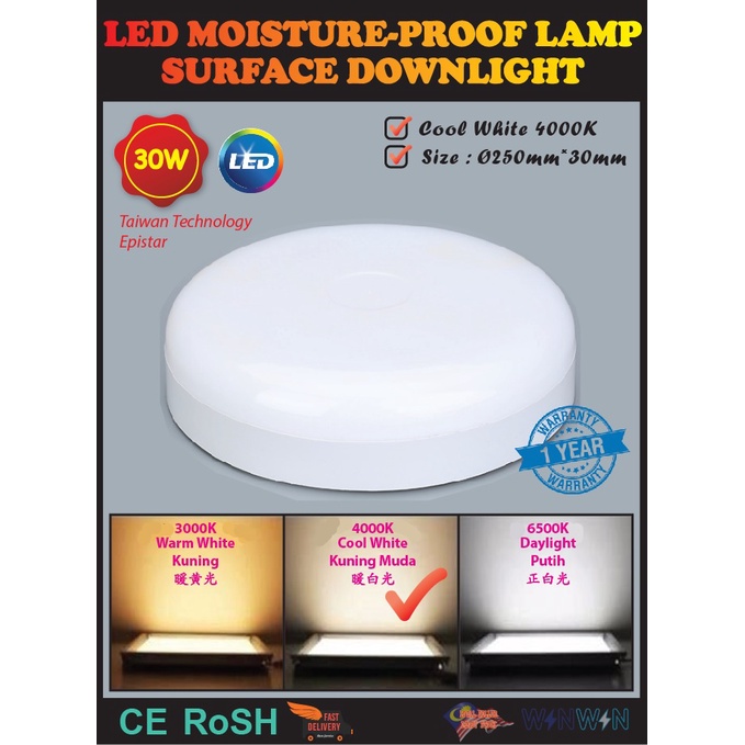 LED SURFACE DOWNLIGHT 20W 30W SURFACE MOUNTED MOISTURE PROOF LIGHT ...