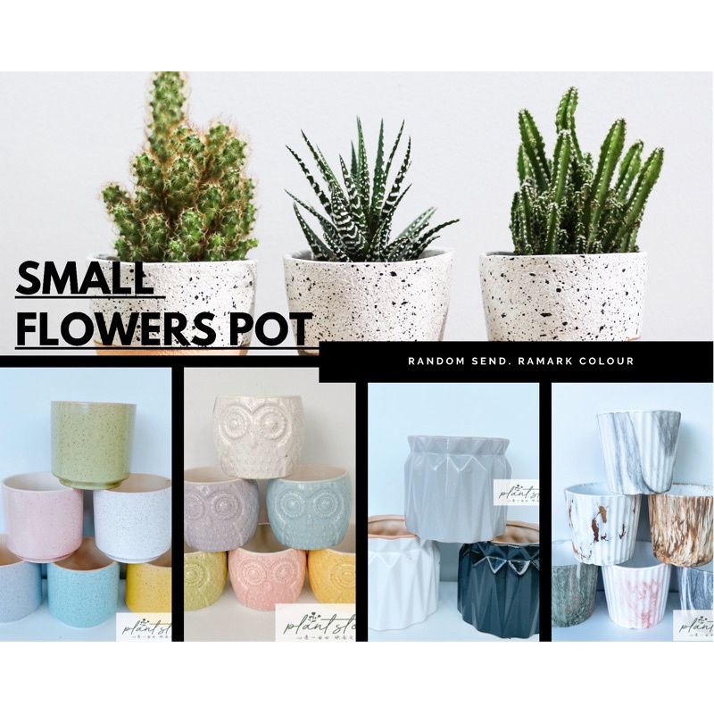 🌱Small pot🌱ceramic flower pot🌱pasu bugar🌱pasu🌱Ready stock🚚🚚🚚 | Shopee ...