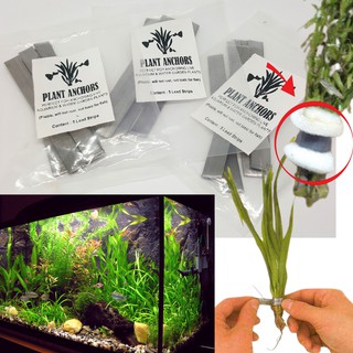 Plant Anchors Aquatics Plant Anchors Pliable and Safe for fish