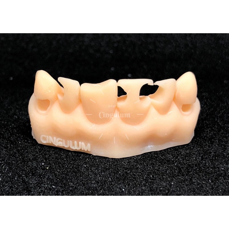 Dental Models for Restoration Practice Tooth Model/s Tooth Preparation ...