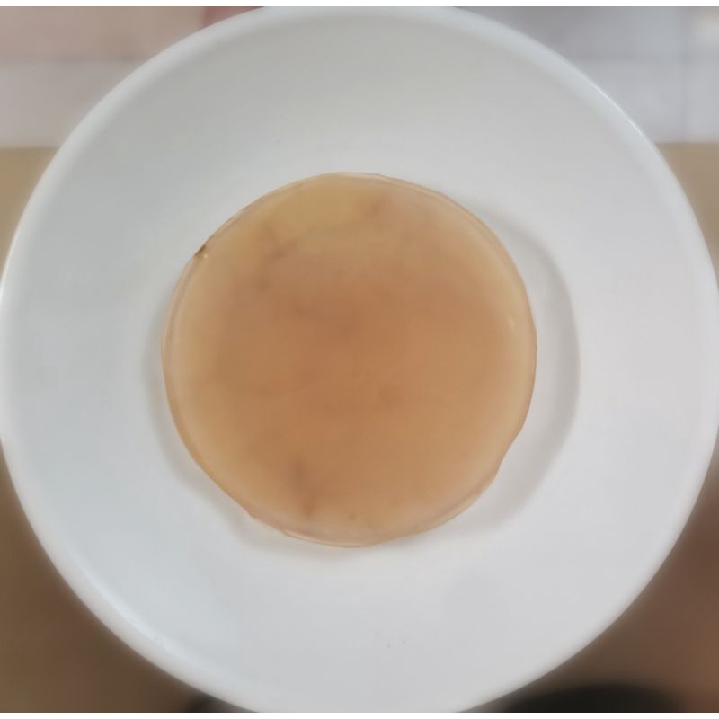 Kombucha Scoby with starter liquid (green tea) Shopee Malaysia