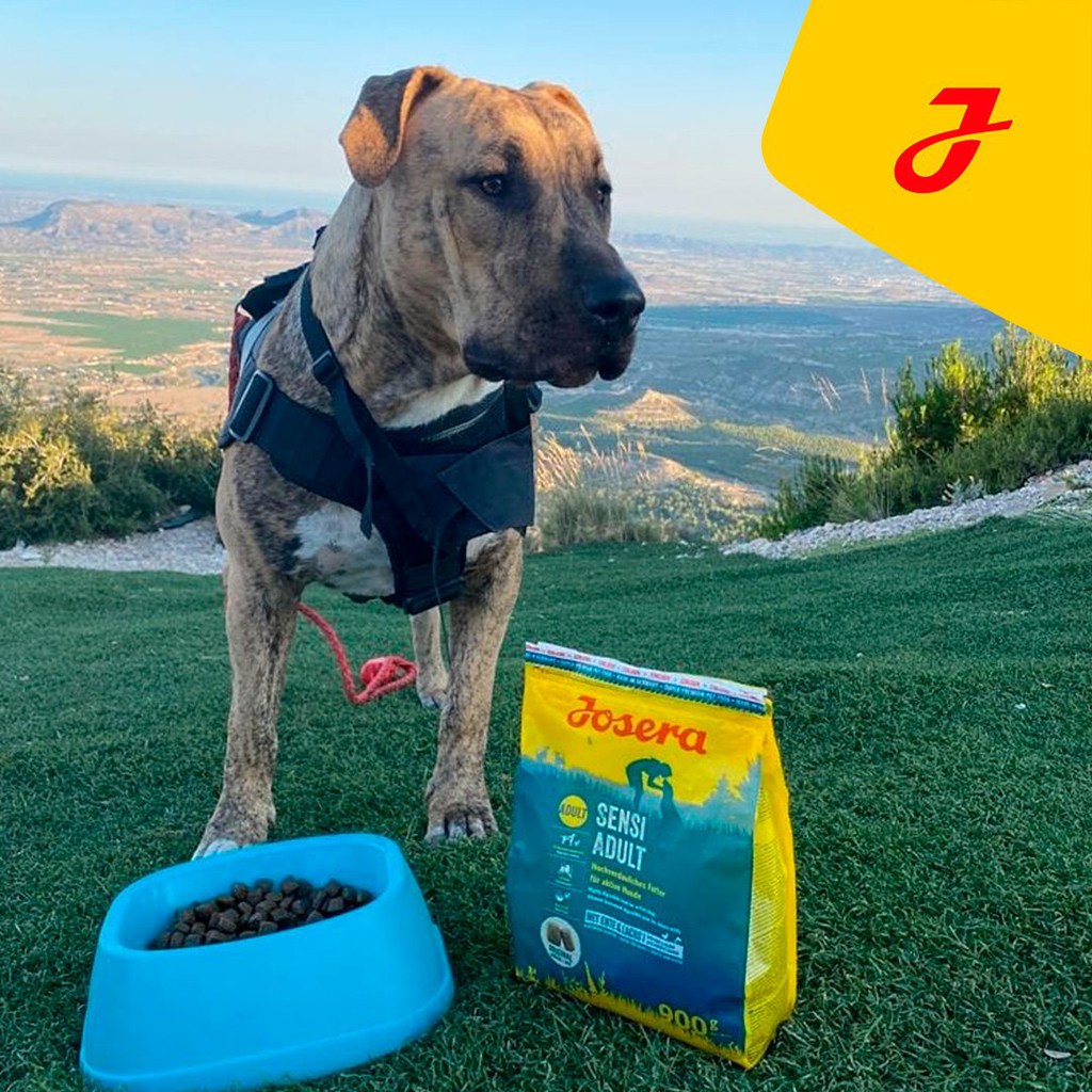 Josera Sensi Adult Hundefutter, 4,5 Kg – Speziell Für Empfindliche Hunde, Haut- Und Fellgesundheit