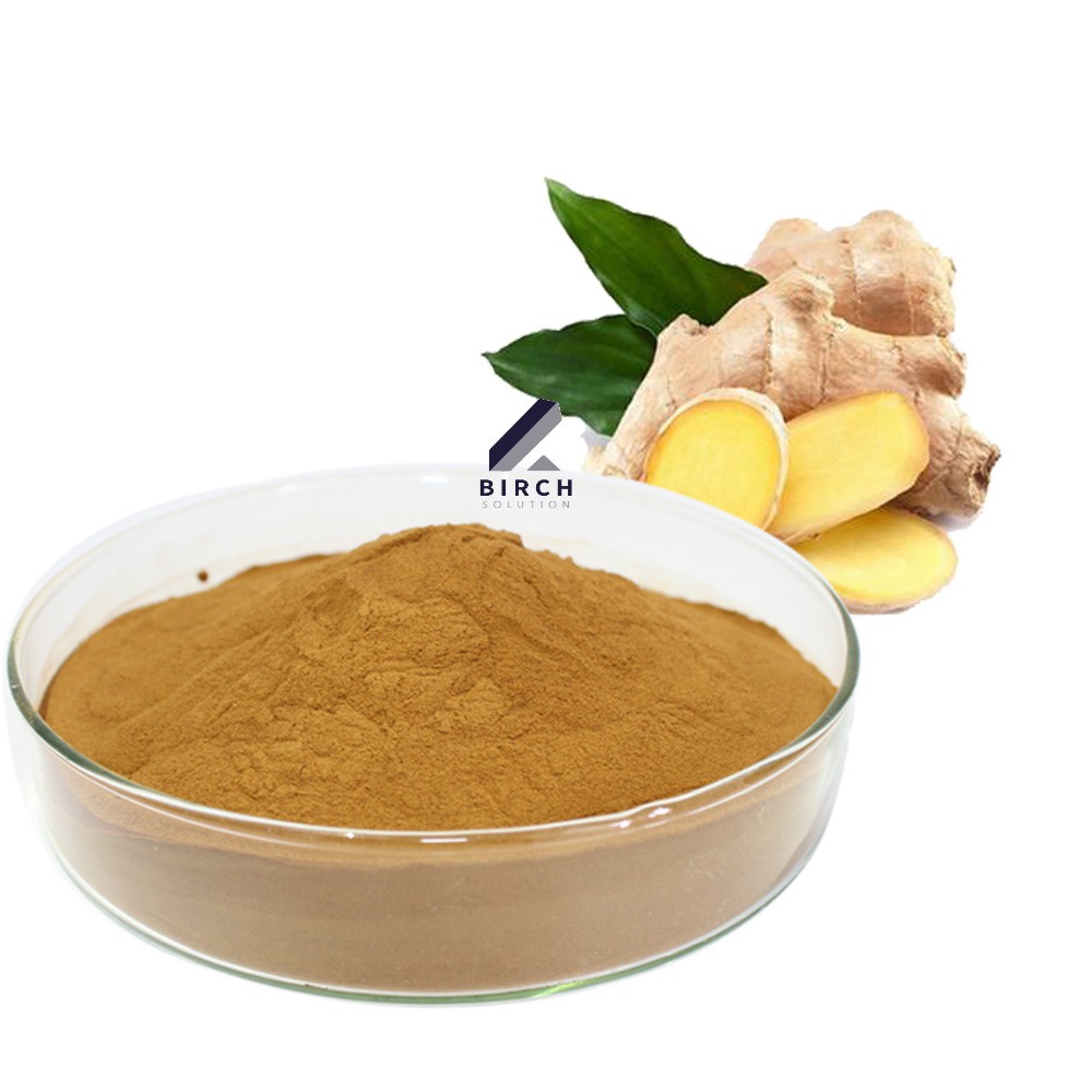 Ginger Powder Extract / Serbuk Ekstrak Halia - Food Grade - Supplement ...