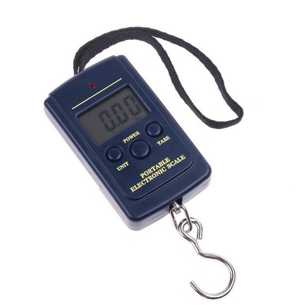 1Pc Fish Scales, Portable Luggage Weight Scale, 110lb / 50kg Electronic  Balance Fishing Postal Hanging Hook Scale