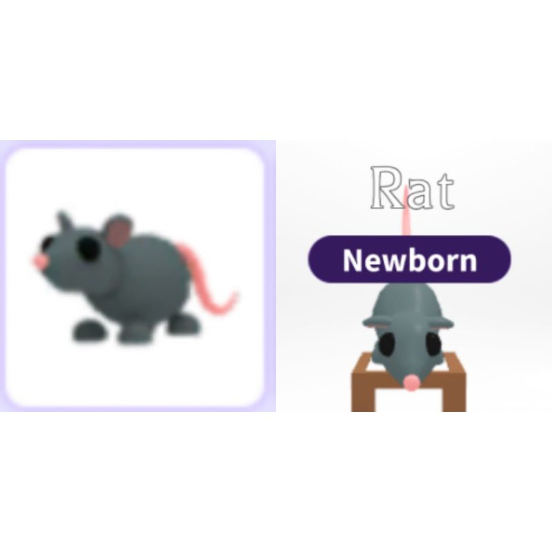 Roblox Adopt Me Pets (Common~Rare) | Shopee Malaysia