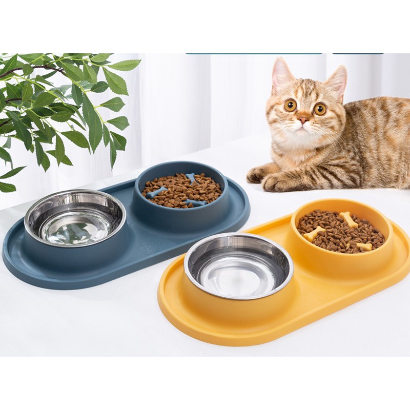 Dog feeding hot sale plate