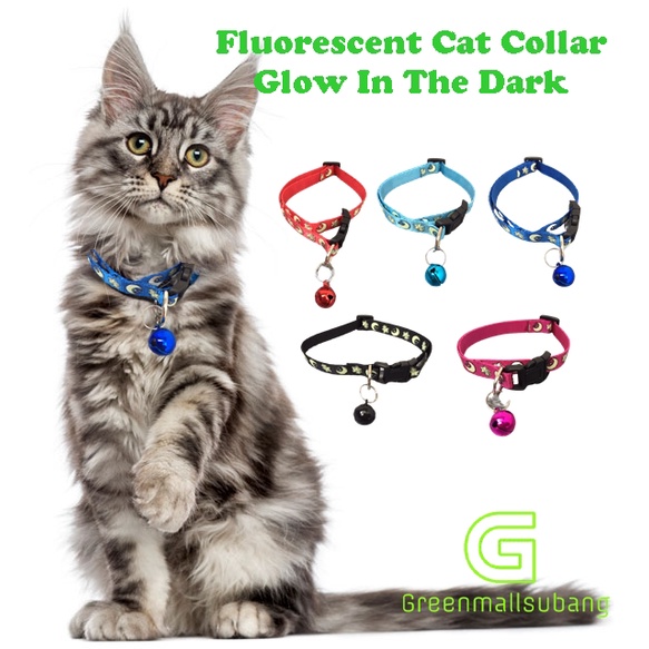 Glow in the dark cat clearance collar