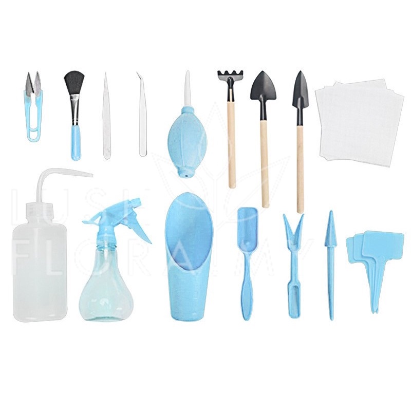 LushFloraMy - GT CACTUS & SUCCULENT TOOL 16 PCS SET (PINK/BLUE ...