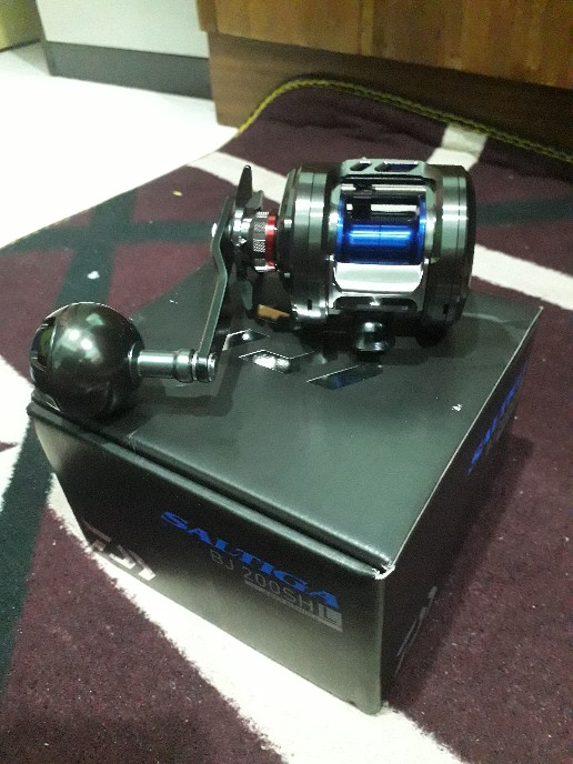 Daiwa - Fishing Reel Saltiga Bj 200 Shl - SGBJ200SHL 並行輸入品-