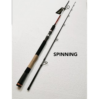 Abu Garcia Super Ascalon Stage 3 Spinning And Casting Fishing Rod