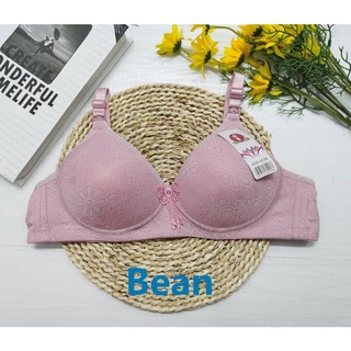 Women Wire Free Bras for Middle Age Girls 36-44 A B Cup Push Up