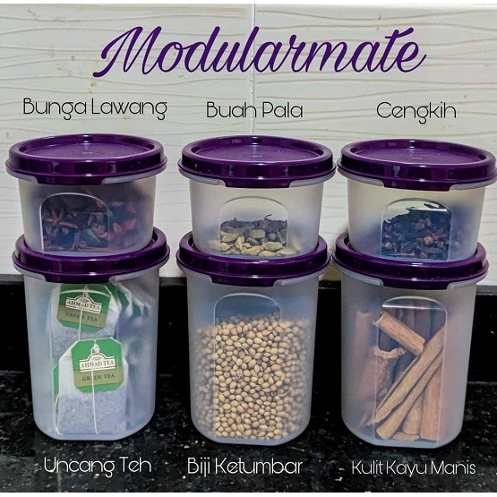 Tupperware - Modularmates Series | Shopee Malaysia