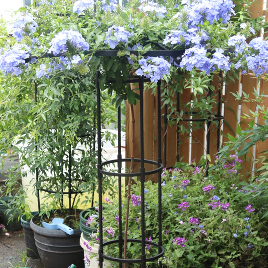 Flower Support Climbing Vine Rack Umbrella Design Iron Material For ...