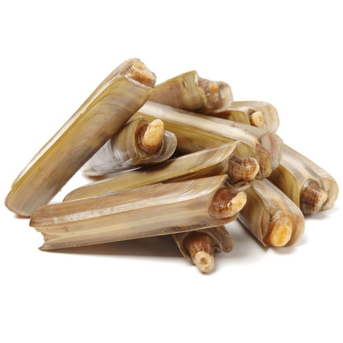 Premium Frozen Bamboo Clam 1Kg± Razor Lala | Shopee Malaysia