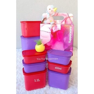 Freezer Storage 450ml Set(4) – TUPPERWARE-KSA