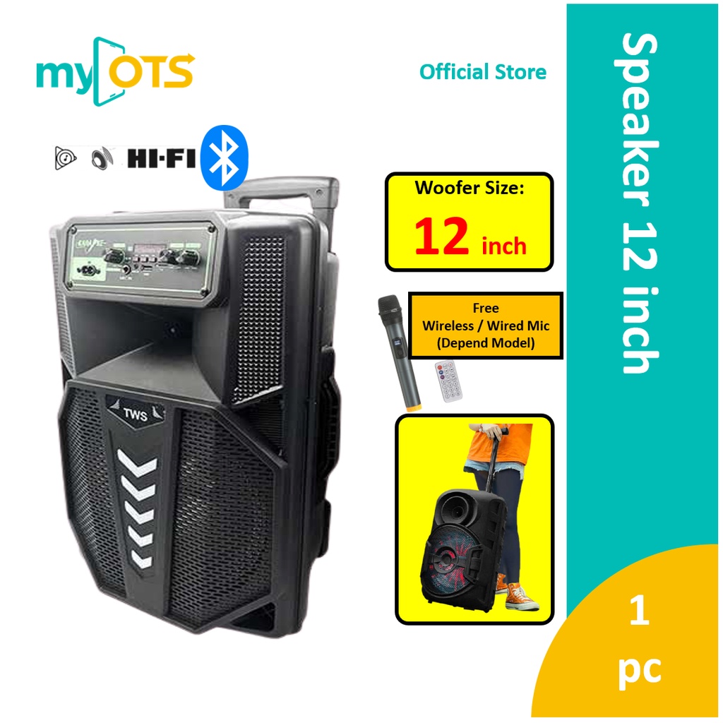 Bluetooth Trolley Wireless Karaoke Speaker 12inch Woofer with Wireless ...