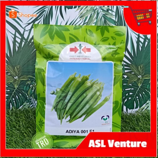 Adiya F Biji Benih Kacang Bendi Cap Panah Merah F Hybrid Okra Seeds