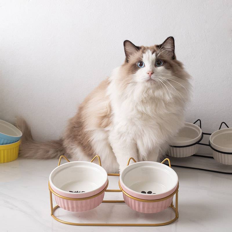 Petcomfort cat clearance bowls