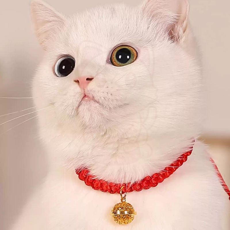 Cat Necklace Lucky Cat Logo Pendant Necklace Green Maneki Neko