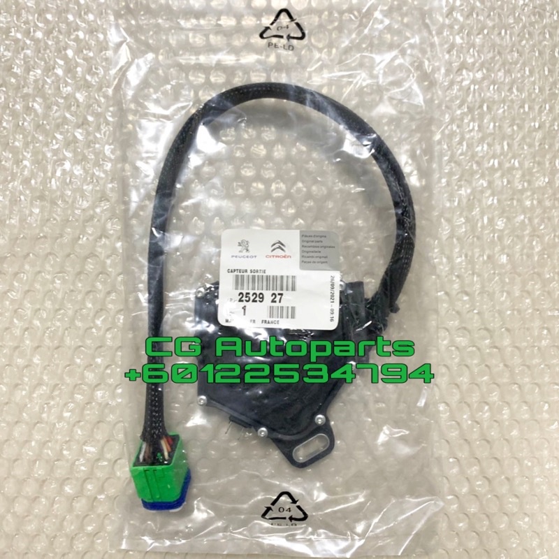 RENAULT Kangoo Scenic II Auto Transmission AL4 Multifunction Switch