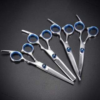 6PCS/Set 6-Inch Beauty Scissors Pet Shearing Scissors for Dogs | Shopee ...