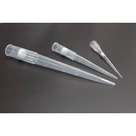 Universal Filtered Tips (Bulk) | Shopee Malaysia