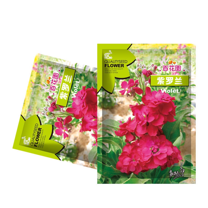 300 Capsules Ready Stock Biji Benih Bunga Violet Flower Seeds Violet ...