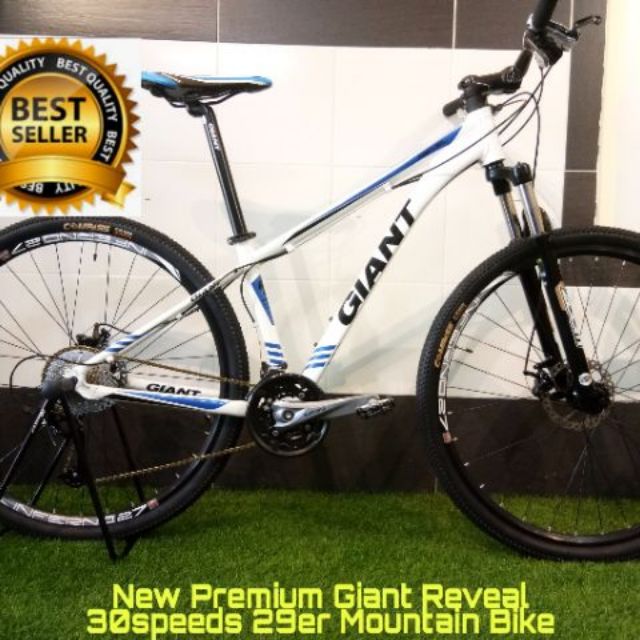 Giant revel best sale 29er mountain bike