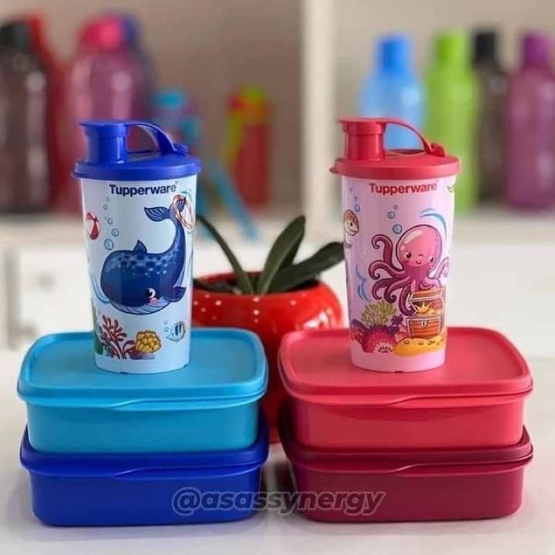 💥READYSTOCK💥Tupperware Kids Lunch Pack / Bento / Divided Case ...