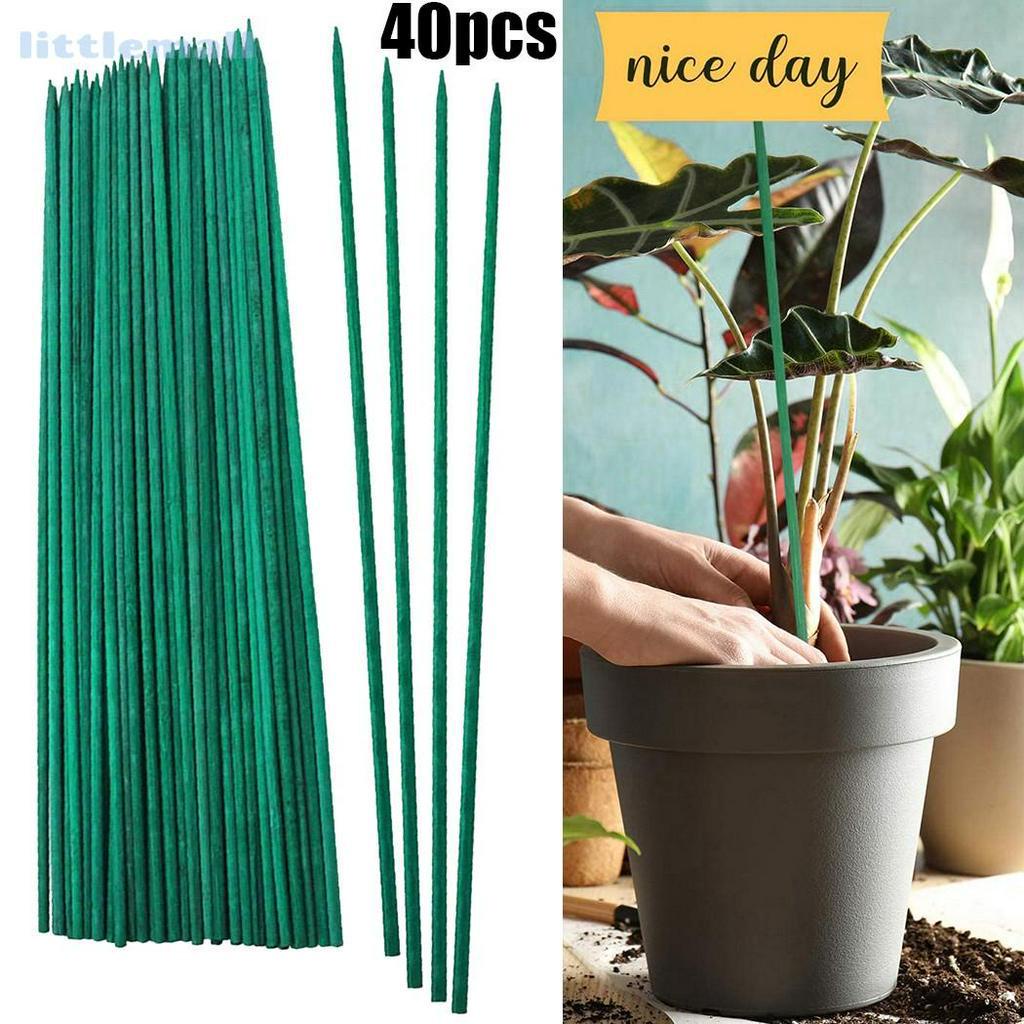 20pcs 40cm Green Plant Garden Support Canes Climbing Plants Vine Rack ...