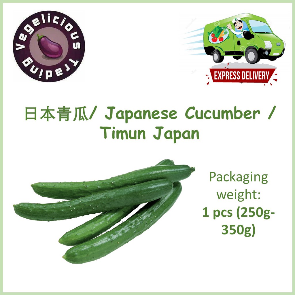Fresh Japanese Cucumber /日本青瓜 / Timun Jepun (250g-350g) 1 pcs Fresh ...